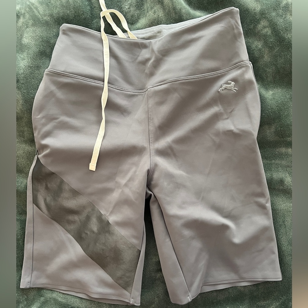 Tracksmith winter shorts